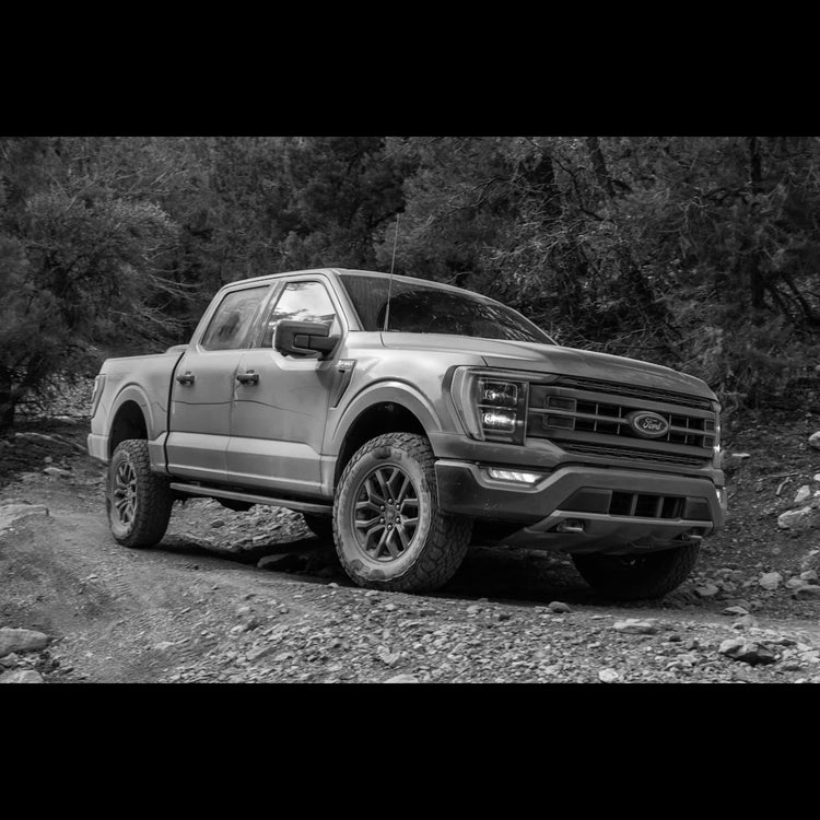 Ford F-150 - (2015 - Current)